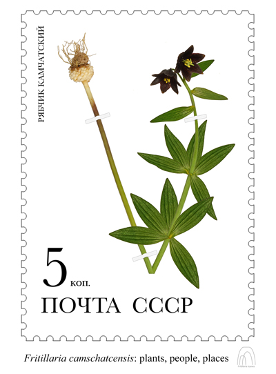 Fritillaria Mail Art